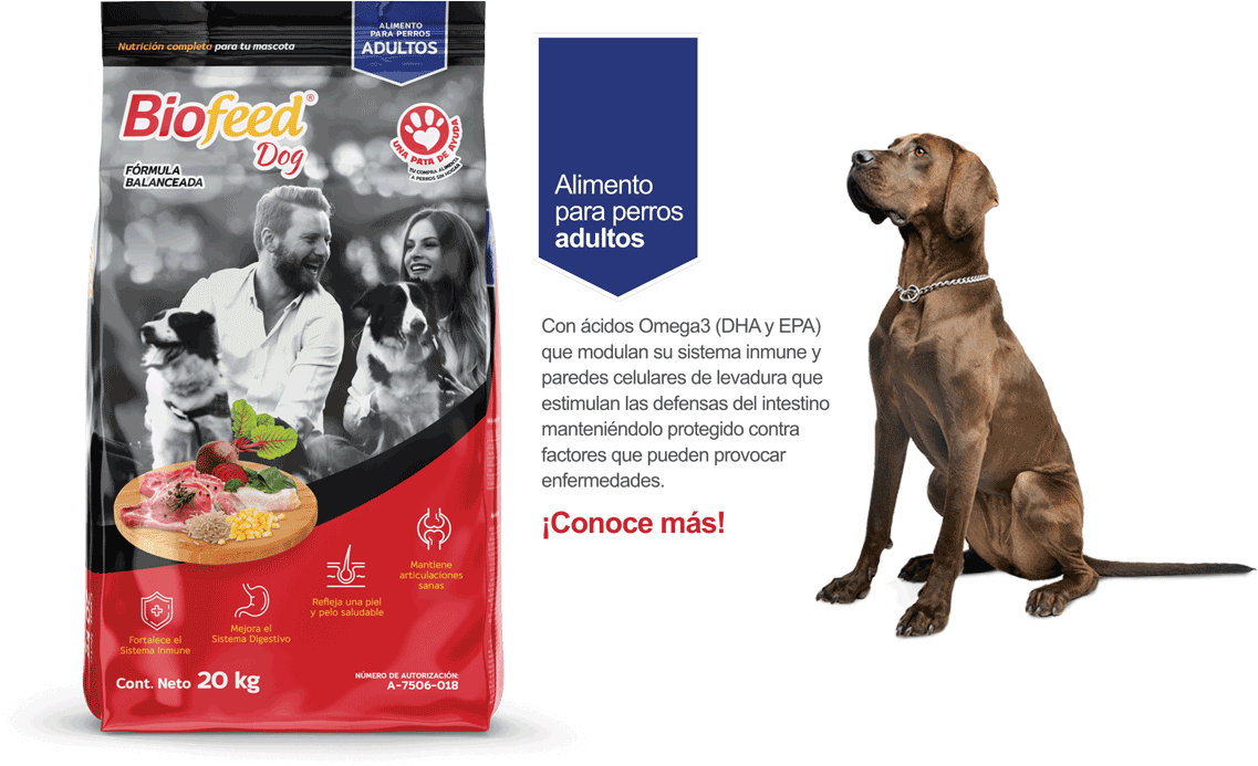 Alimento seco BioFeed para perros adultos, lista de ingredientes y beneficios para mascota