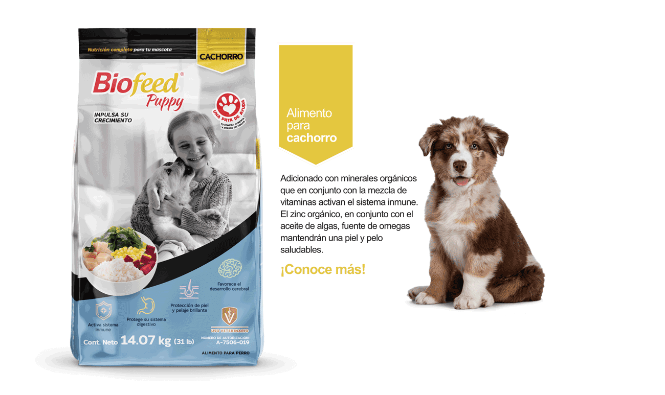 Alimento seco BioFeed para cachorros, lista de ingredientes y beneficios para mascota