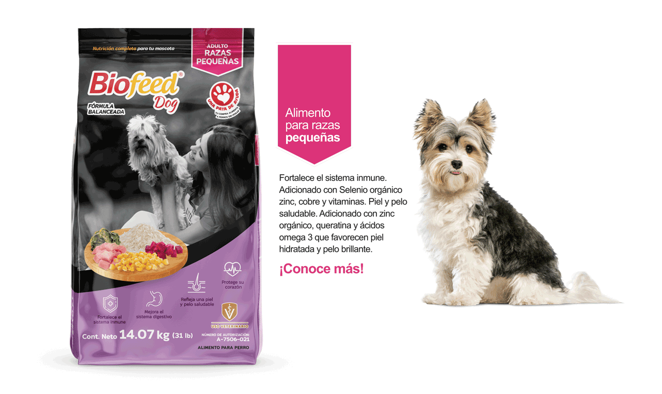 Alimento seco BioFeed para perros pequeños, lista de ingredientes y beneficios para mascota